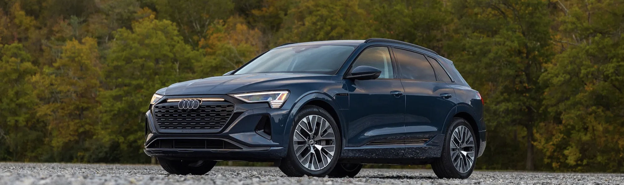 Audi Q8 E-Tron Soundsystem