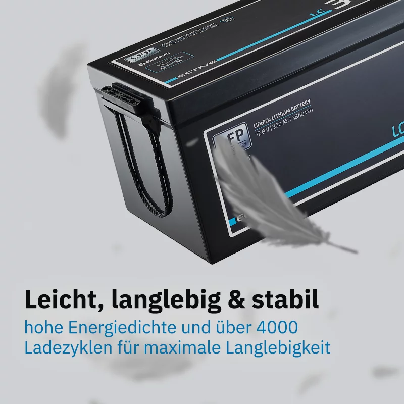 ECTIVE LC 300 LT 12V LiFePO4 Lithium Versorgungsba